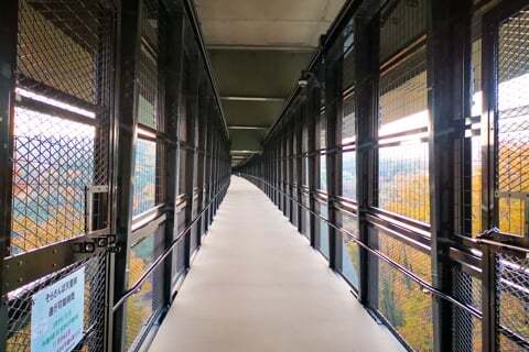 遊歩道の写真