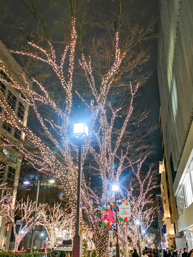 表参道イルミネーション2019の写真