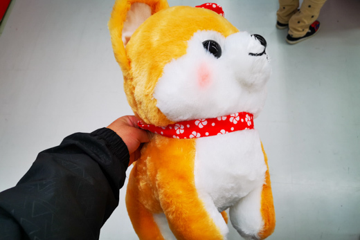 私のゲットした品の写真