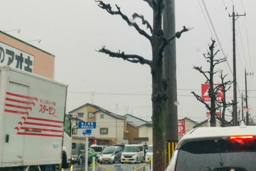 オープンの列の写真
