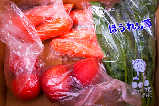 野菜の特売の写真