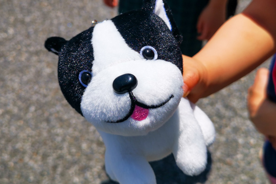 犬のぬいぐるみの写真