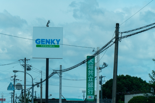 ゲンキー加茂野店の看板の写真