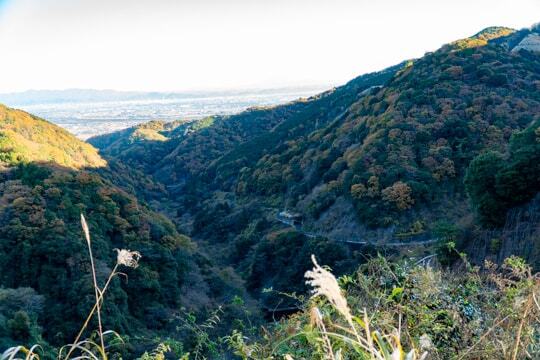 県道25号南濃北勢線の写真