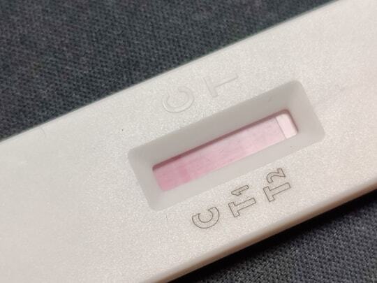 結果の写真