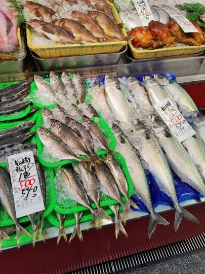 お魚の写真