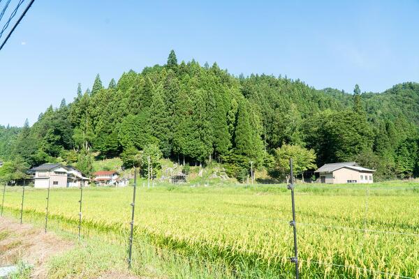 入間地区の写真