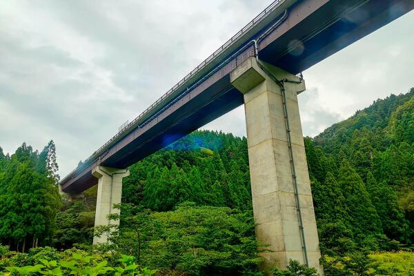 国道303号の真下の写真