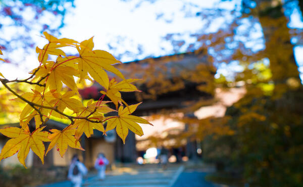 金剛峯寺の写真