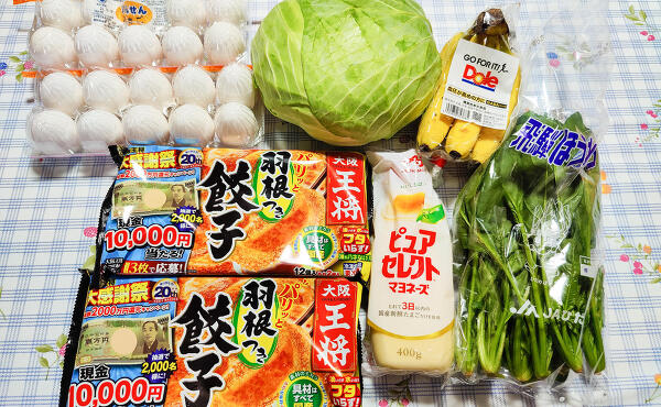 購入品の写真