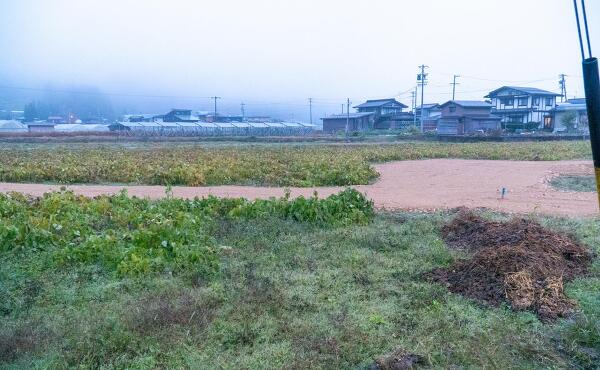 予定地の様子の写真