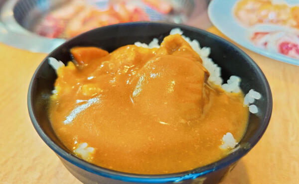 カレーライスの写真