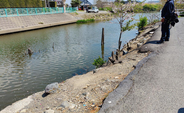 五三川の写真