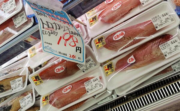 トロカツオ 刺身の写真