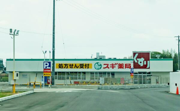 スギドラッグ おしろ下店の写真