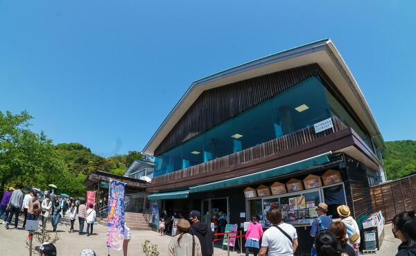 天橋立傘松公園のお土産さんの写真