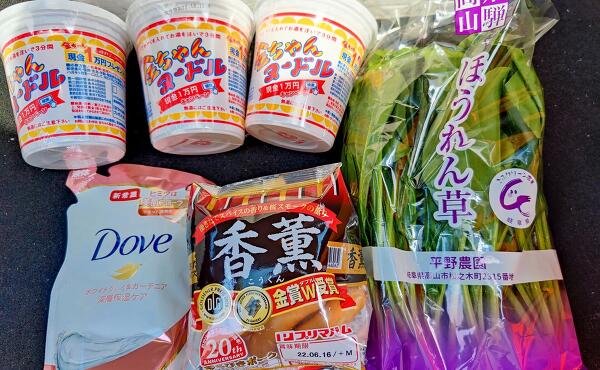 ゲンキー丹生川店の購入品の写真