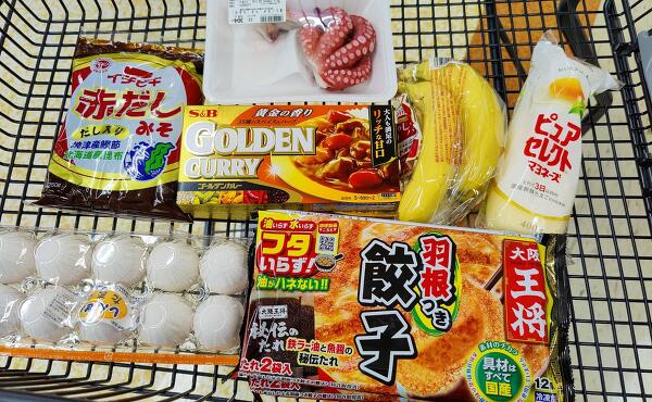 カネスエ 西幡豆店の購入品の写真