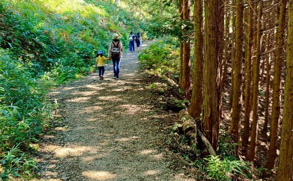 登山の写真