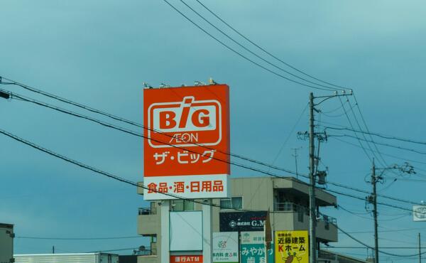 ザ・ビッグ岐南店の看板の写真