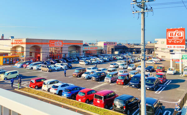 ザ・ビッグ岐南店の混み具合の写真