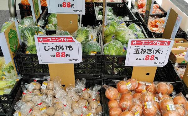 野菜の特売の写真