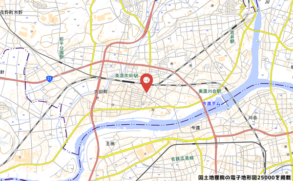 ドラッグコスモス中富店の地図の写真