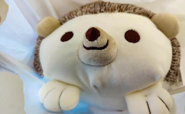 クッションの写真