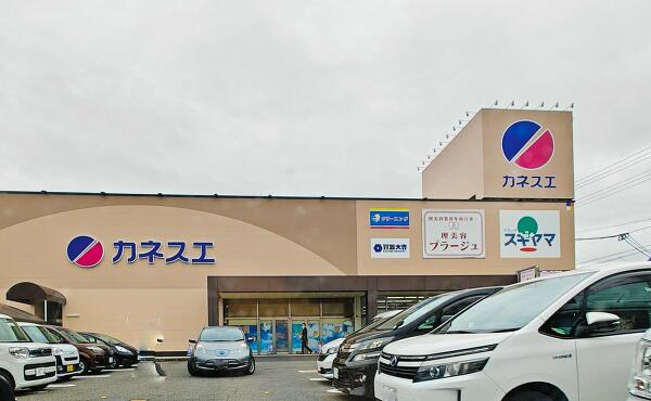 カネスエ中井田店の写真