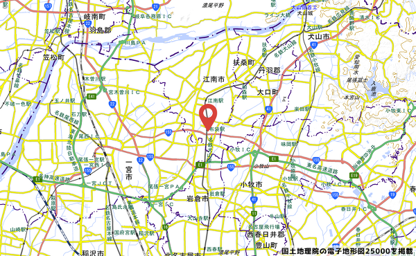 マックスバリュ江南布袋店の写真