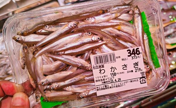 わかざぎの写真