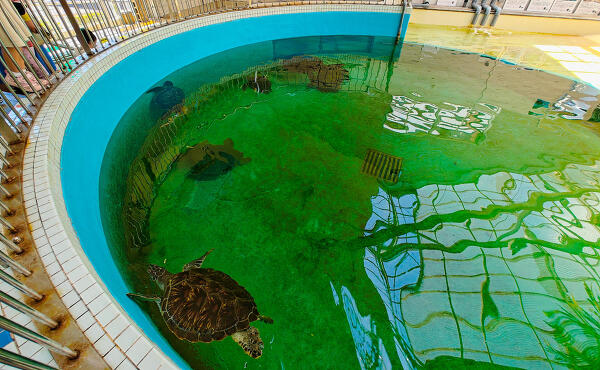 水族館の写真