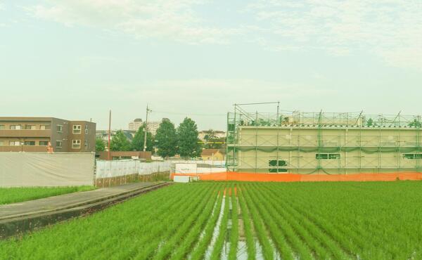 バロー堺豊田店の反対側の写真