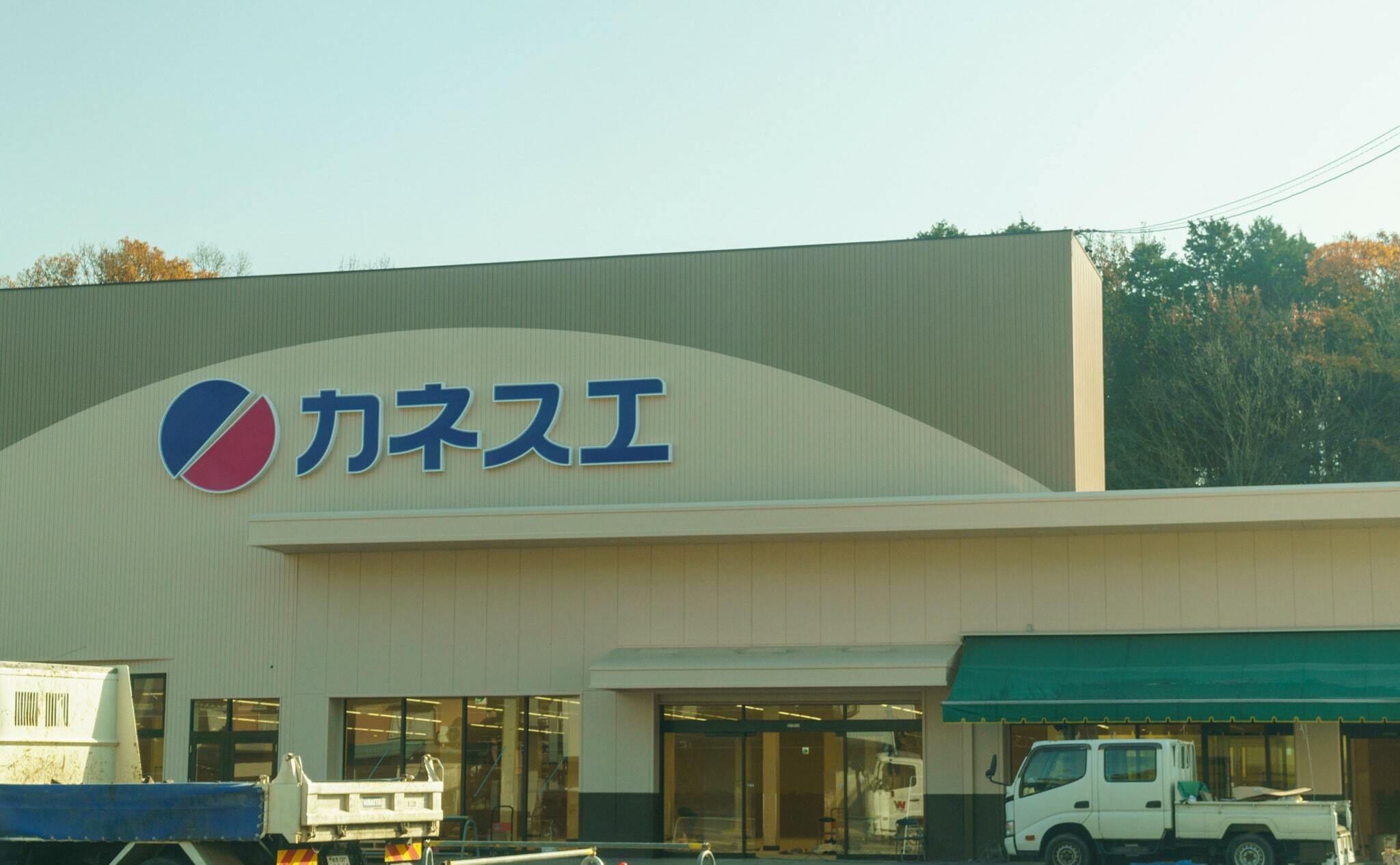 10981号1枚目の写真