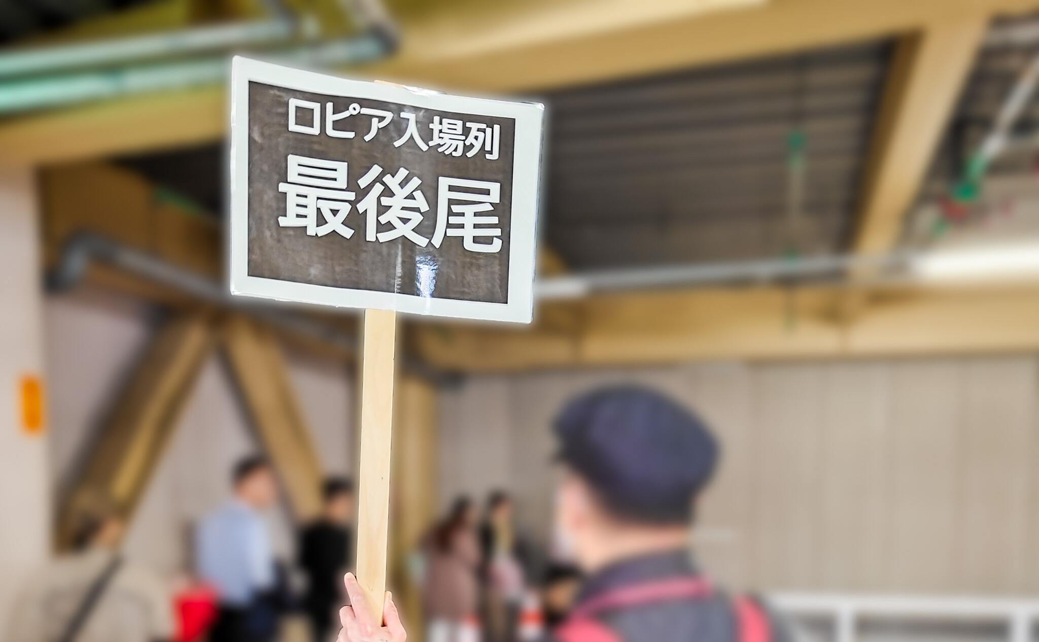 11247号1枚目の写真