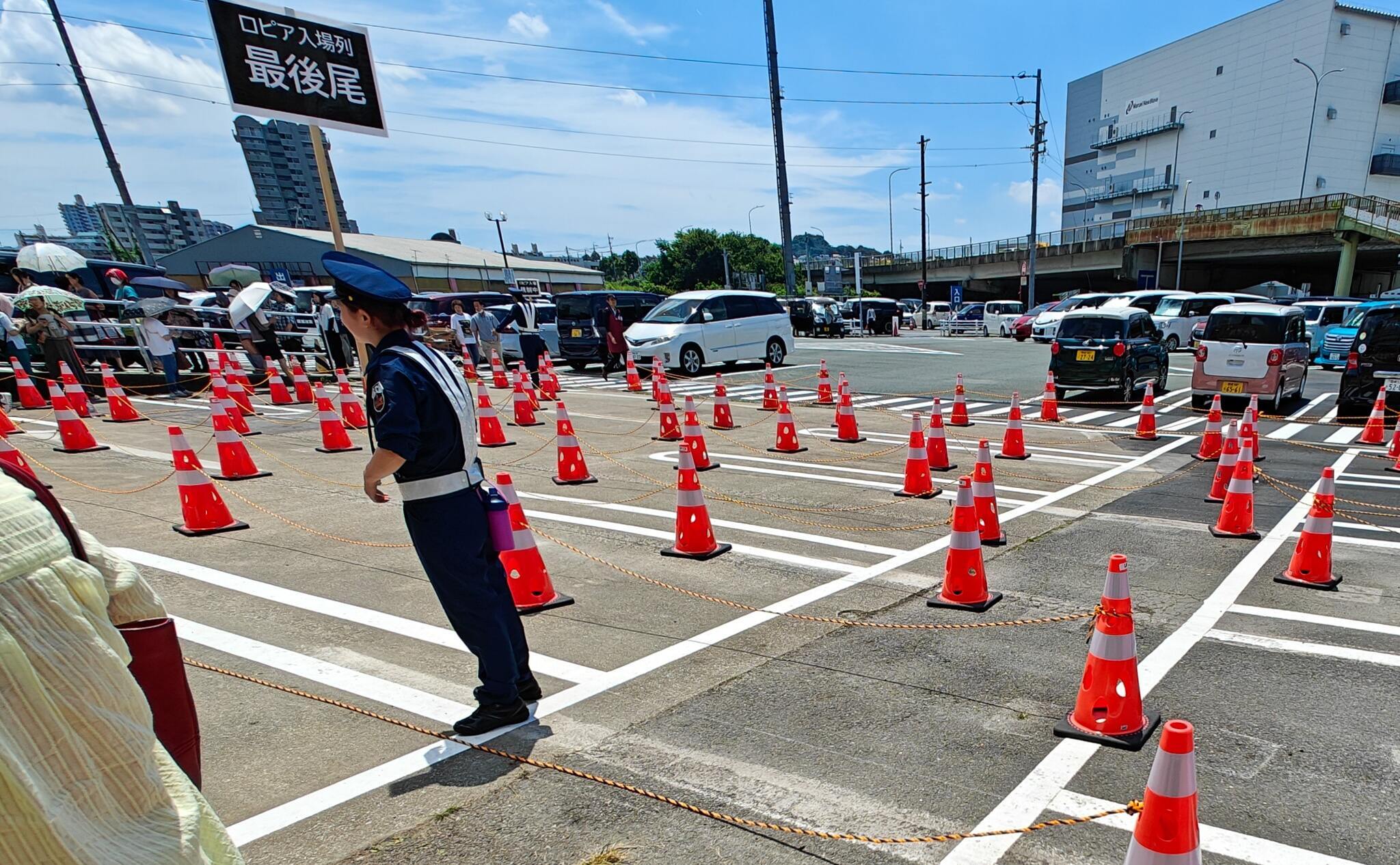 11256号1枚目の写真