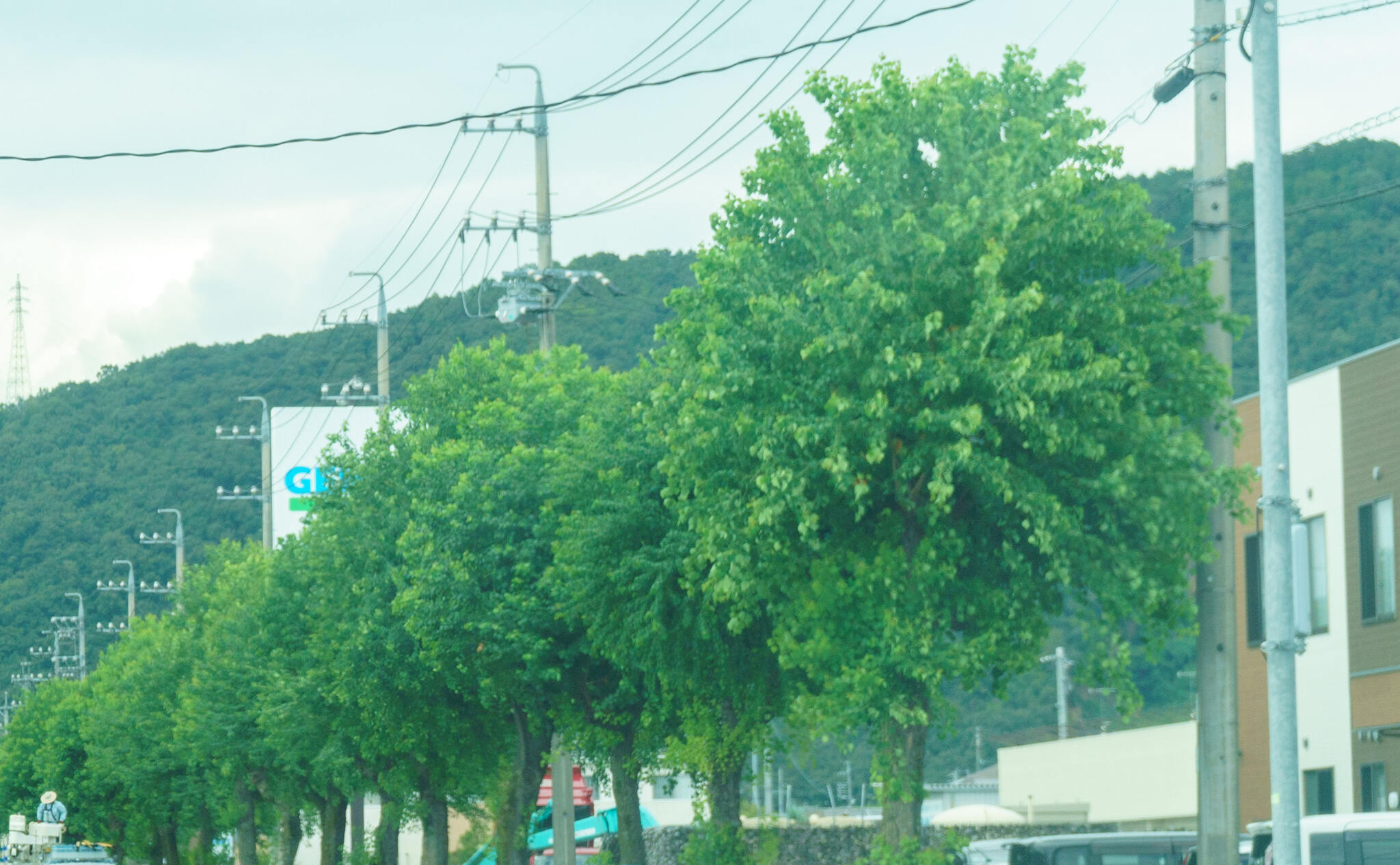 11345号1枚目の写真