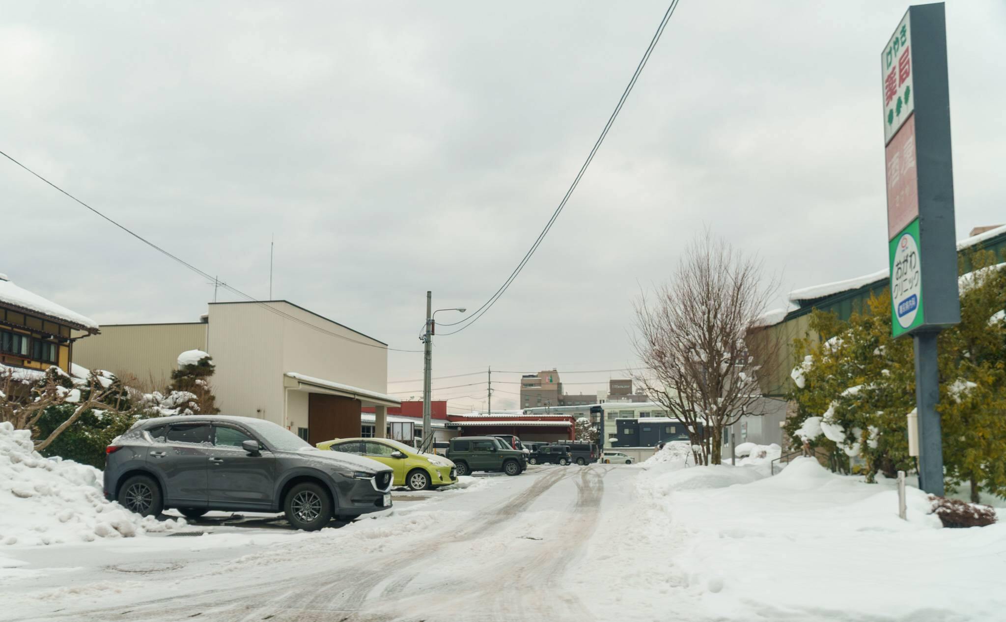 11560号1枚目の写真